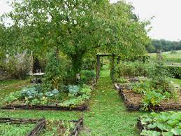 jardin potager